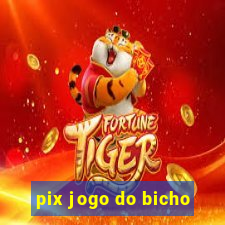 pix jogo do bicho